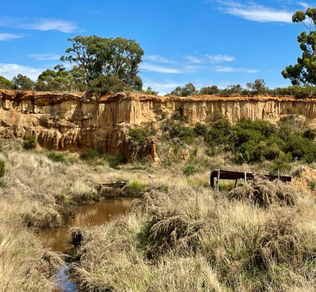 A goldmines site in Castlemain is pictured. The sky is blue and small creek runs through the site.  A  sand coloured cliff face surrounds the site. 